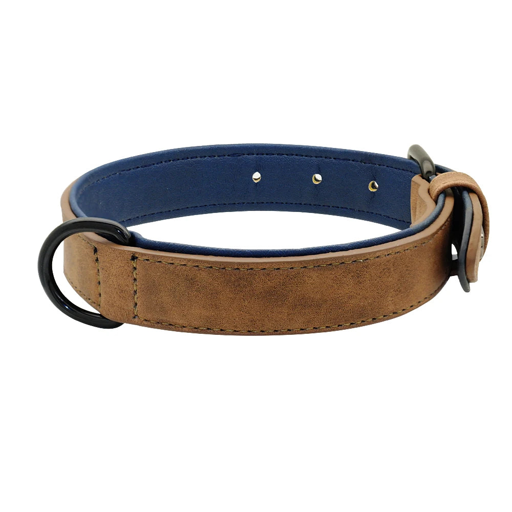 Soft Padded Leather Dog Collar