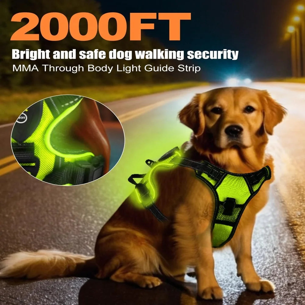 Rechargable LED Dog Harness