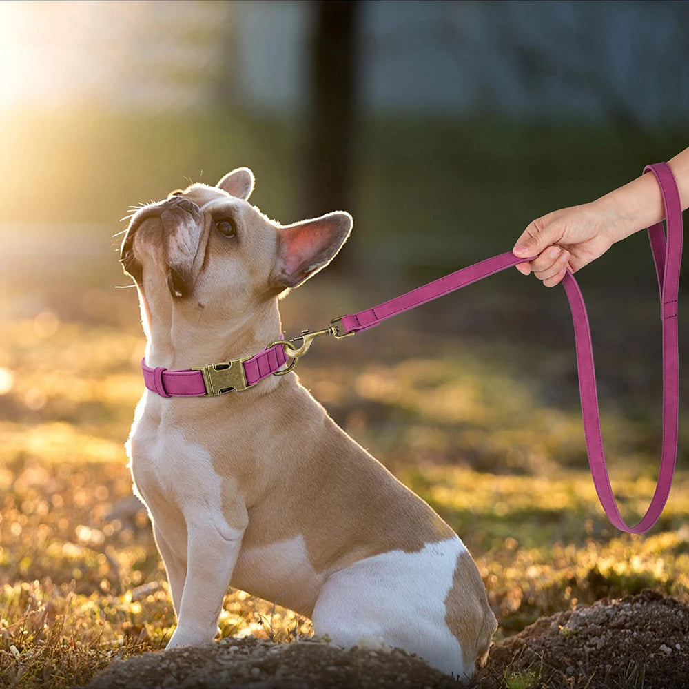 Adjustable PU Leather Dog Collar & Leash Set
