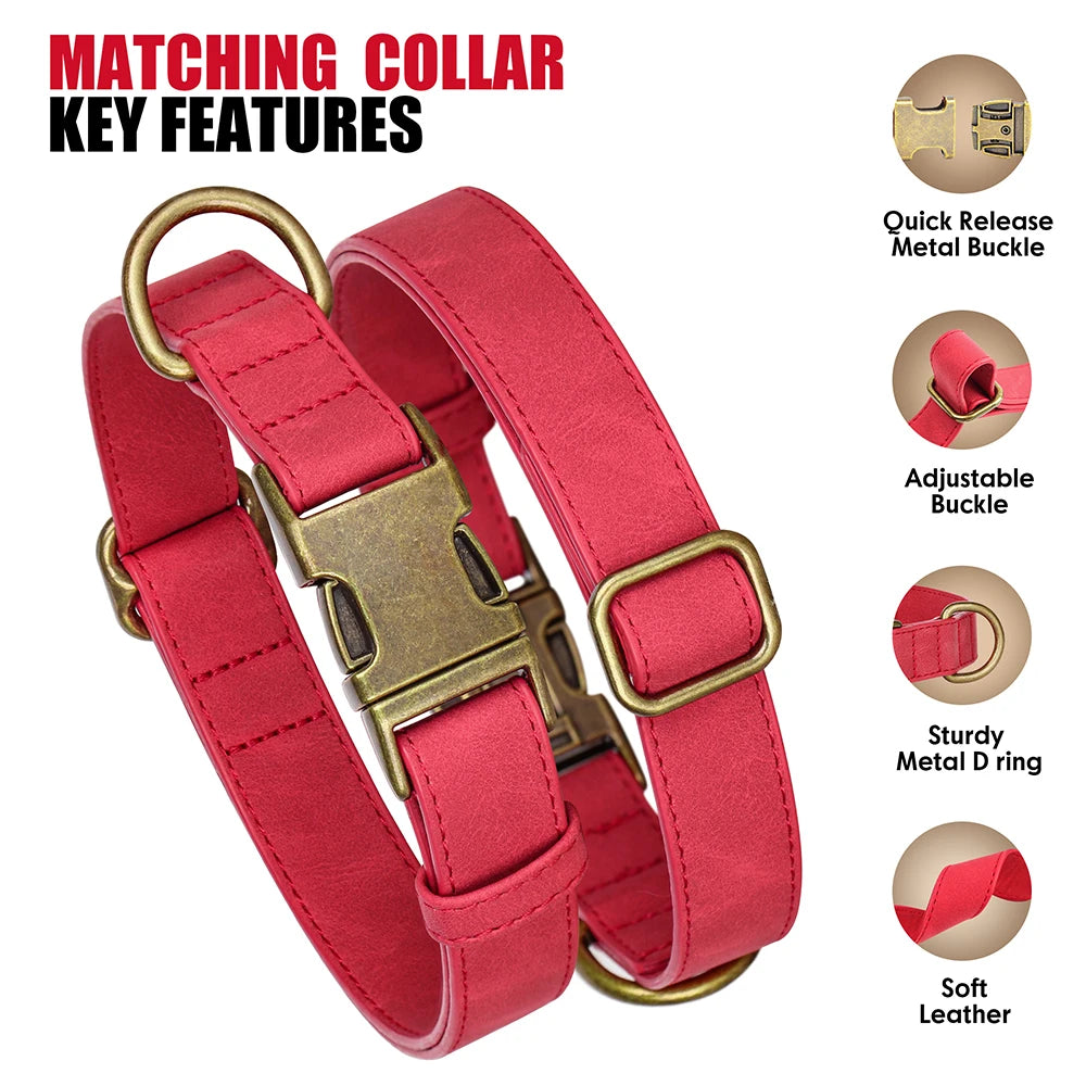 Adjustable PU Leather Dog Collar & Leash Set