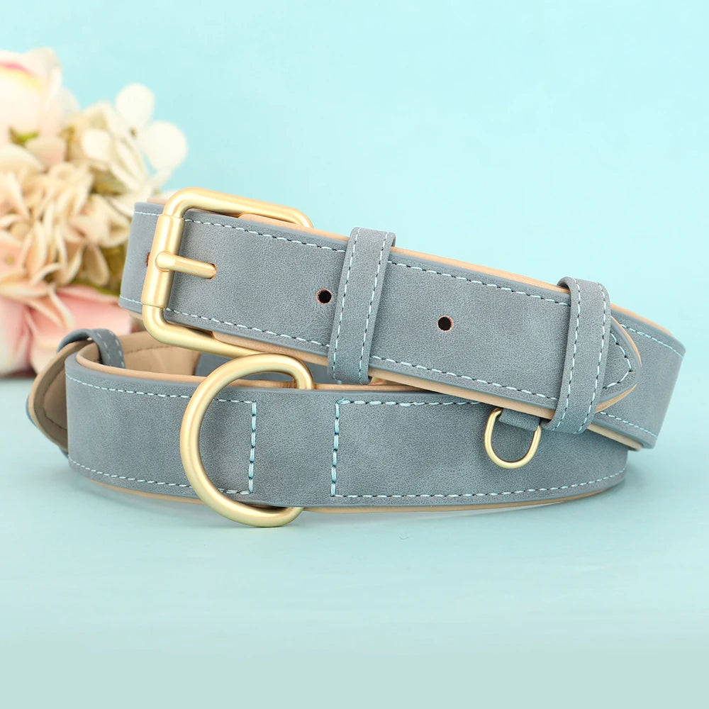 Soft Padded Leather Dog Collar