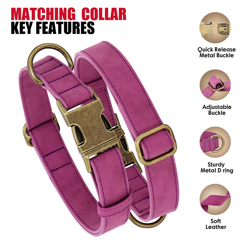 Adjustable PU Leather Dog Collar & Leash Set