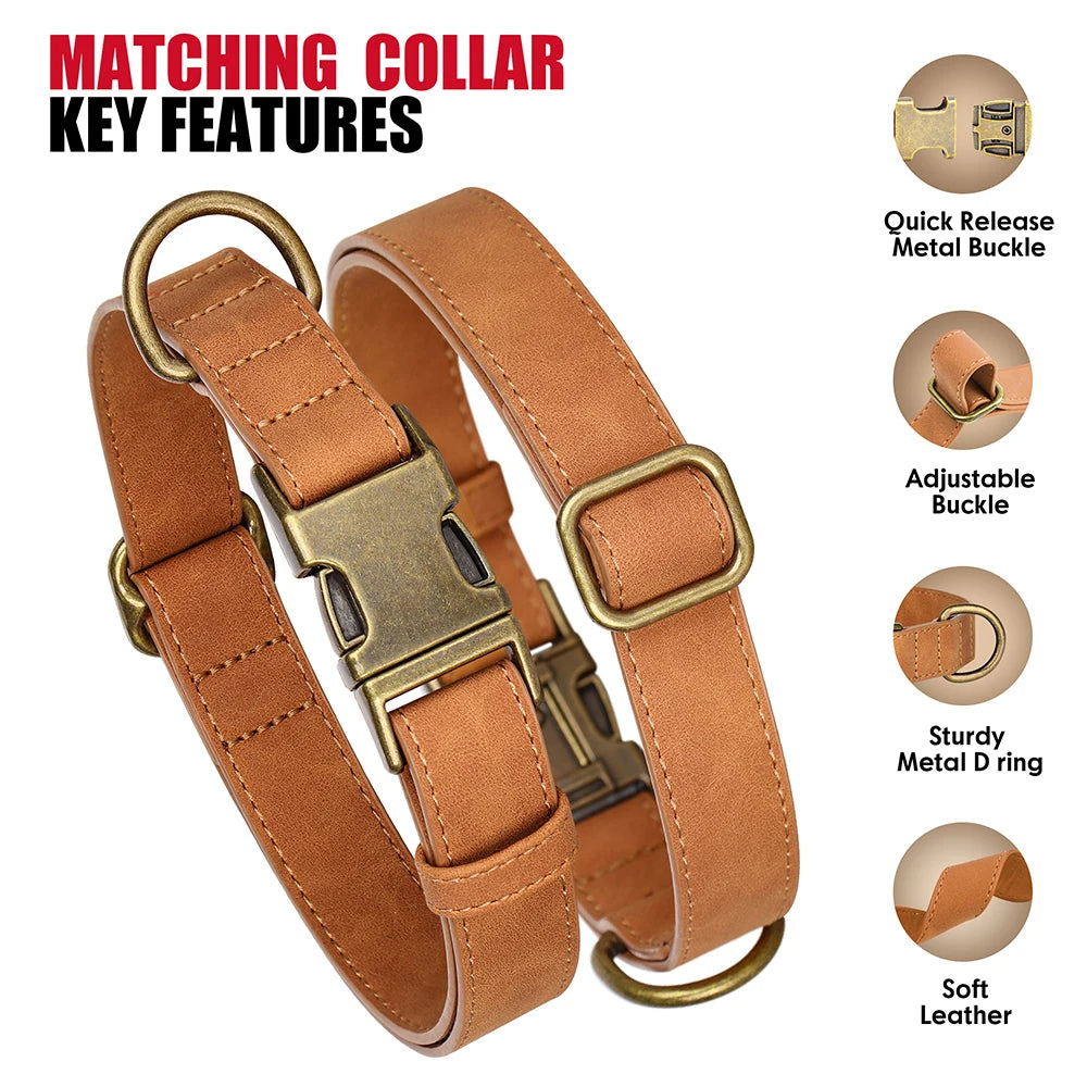 Adjustable PU Leather Dog Collar & Leash Set