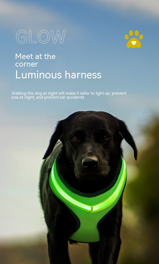 USB Charging LED Luminous Dog Harness