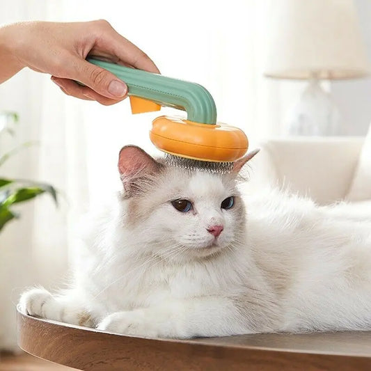 Grooming Pet Pumpkin Brush And Hair Remover