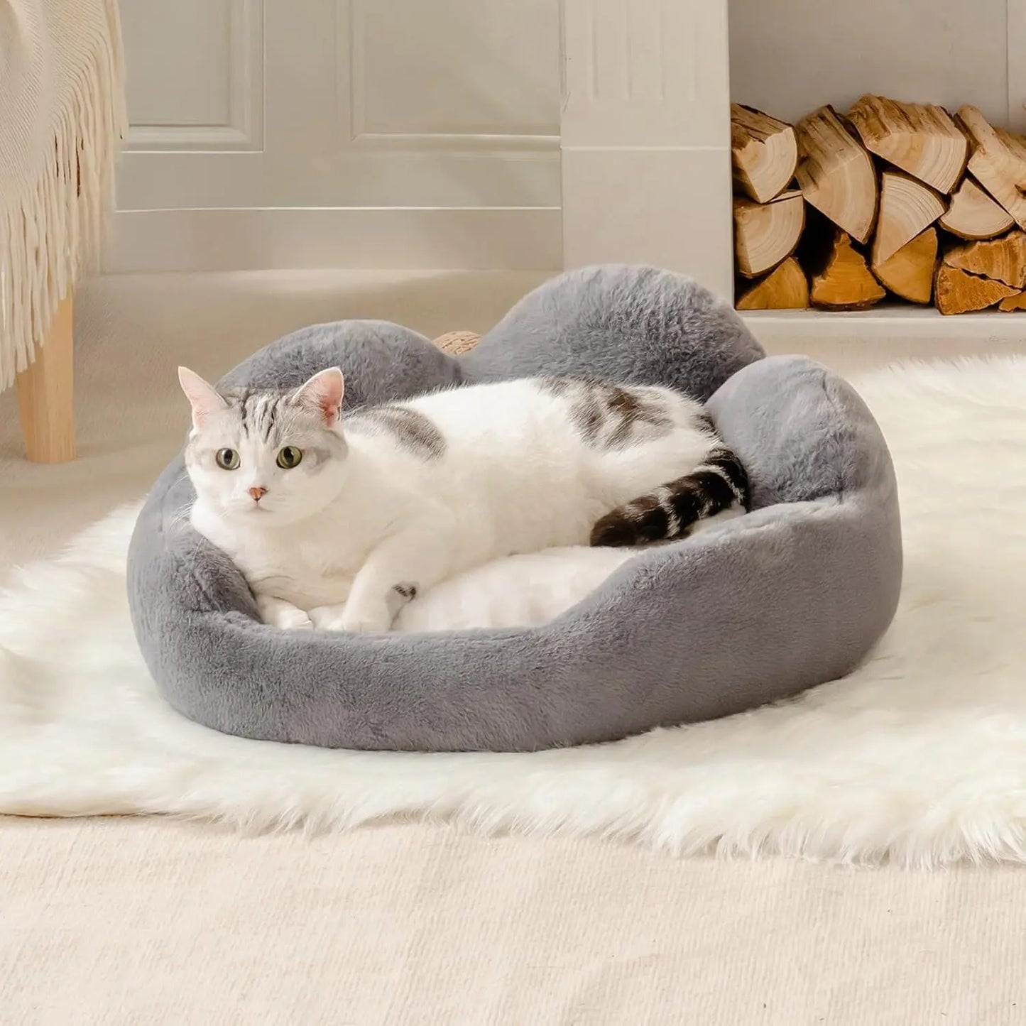 Fluffy Cat & Small Dog Bed
