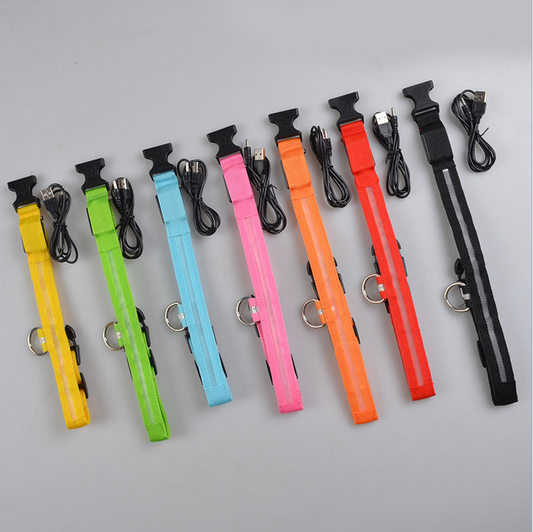 Rechargable Nylon LED Luminous Adjustable Dog/Cat Collar