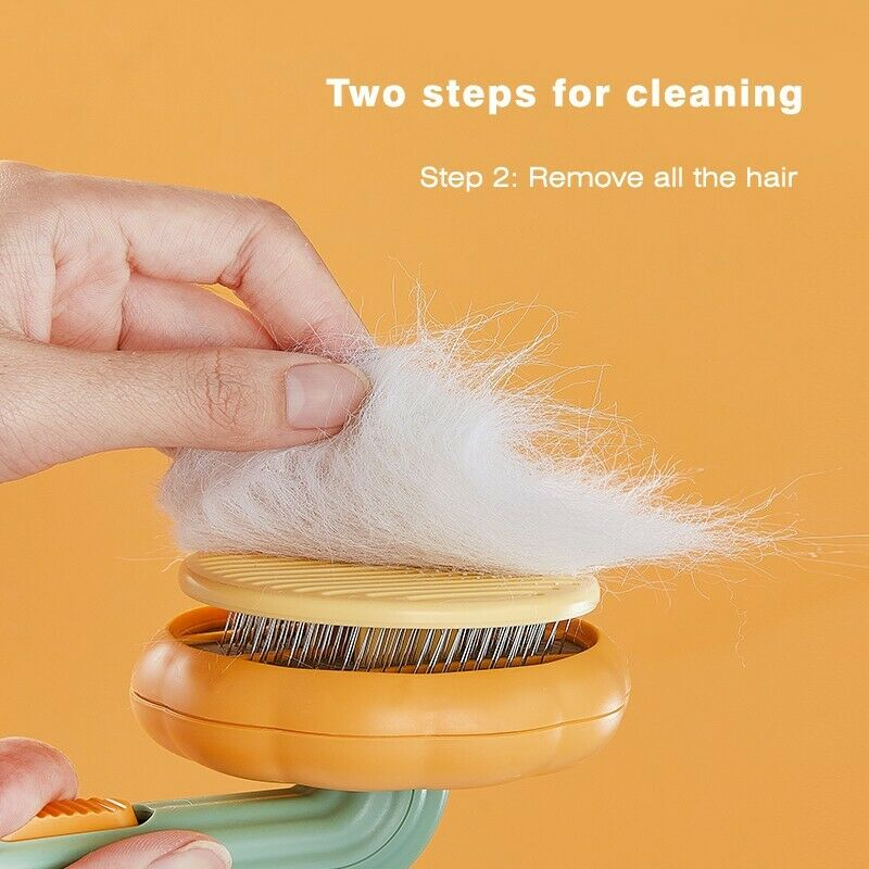 Grooming Pet Pumpkin Brush And Hair Remover