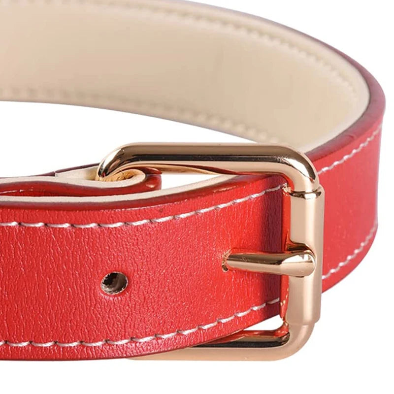 Genuine Leather Dog Collar – Soft Padded, Red