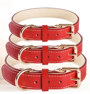 Genuine Leather Dog Collar – Soft Padded, Red