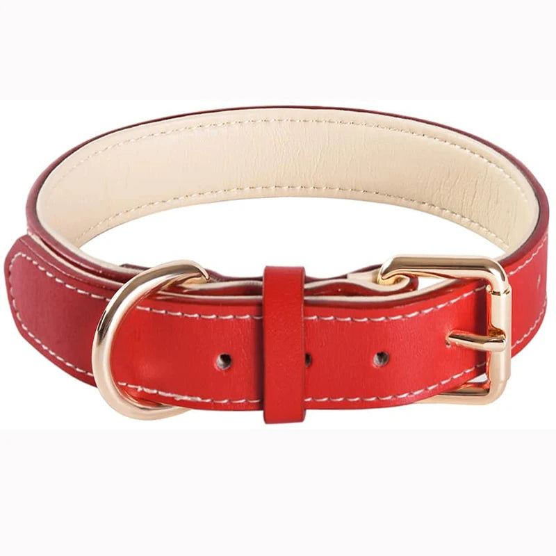 Genuine Leather Dog Collar – Soft Padded, Red
