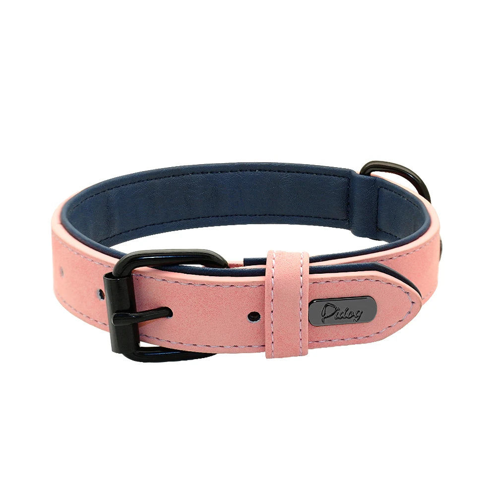 Soft Padded Leather Dog Collar