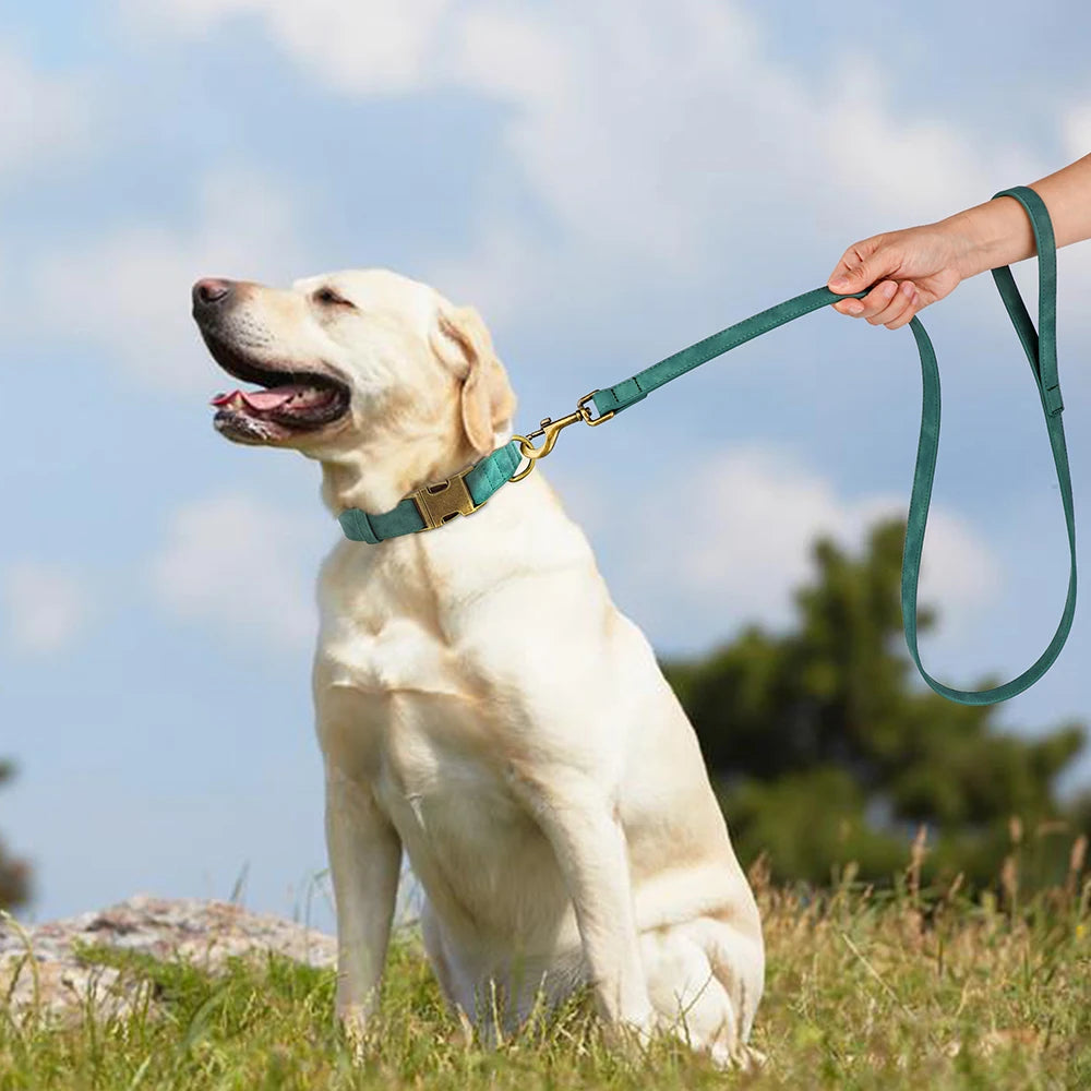 Adjustable PU Leather Dog Collar & Leash Set