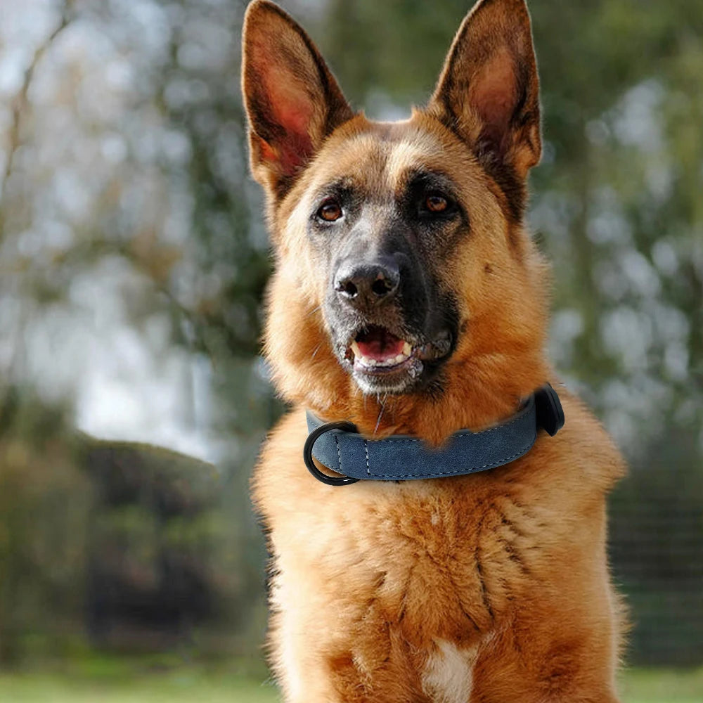 Soft Padded Leather Dog Collar