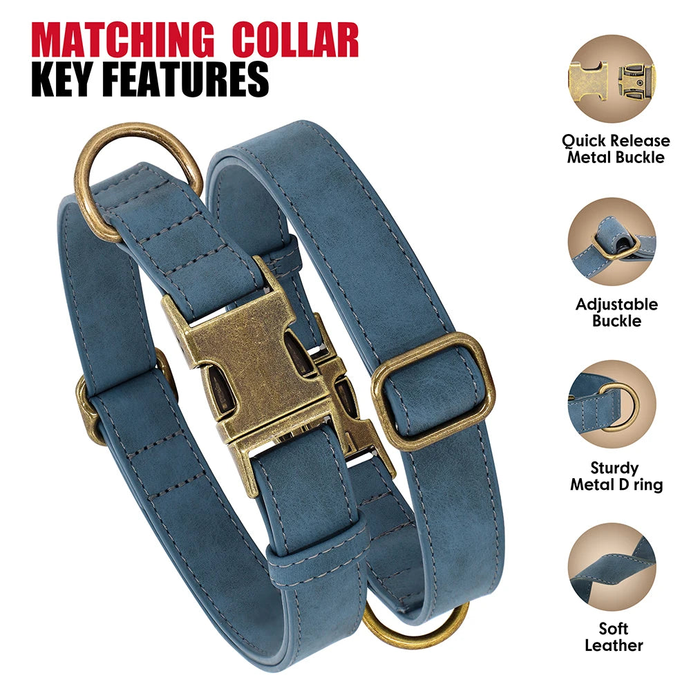 Adjustable PU Leather Dog Collar & Leash Set