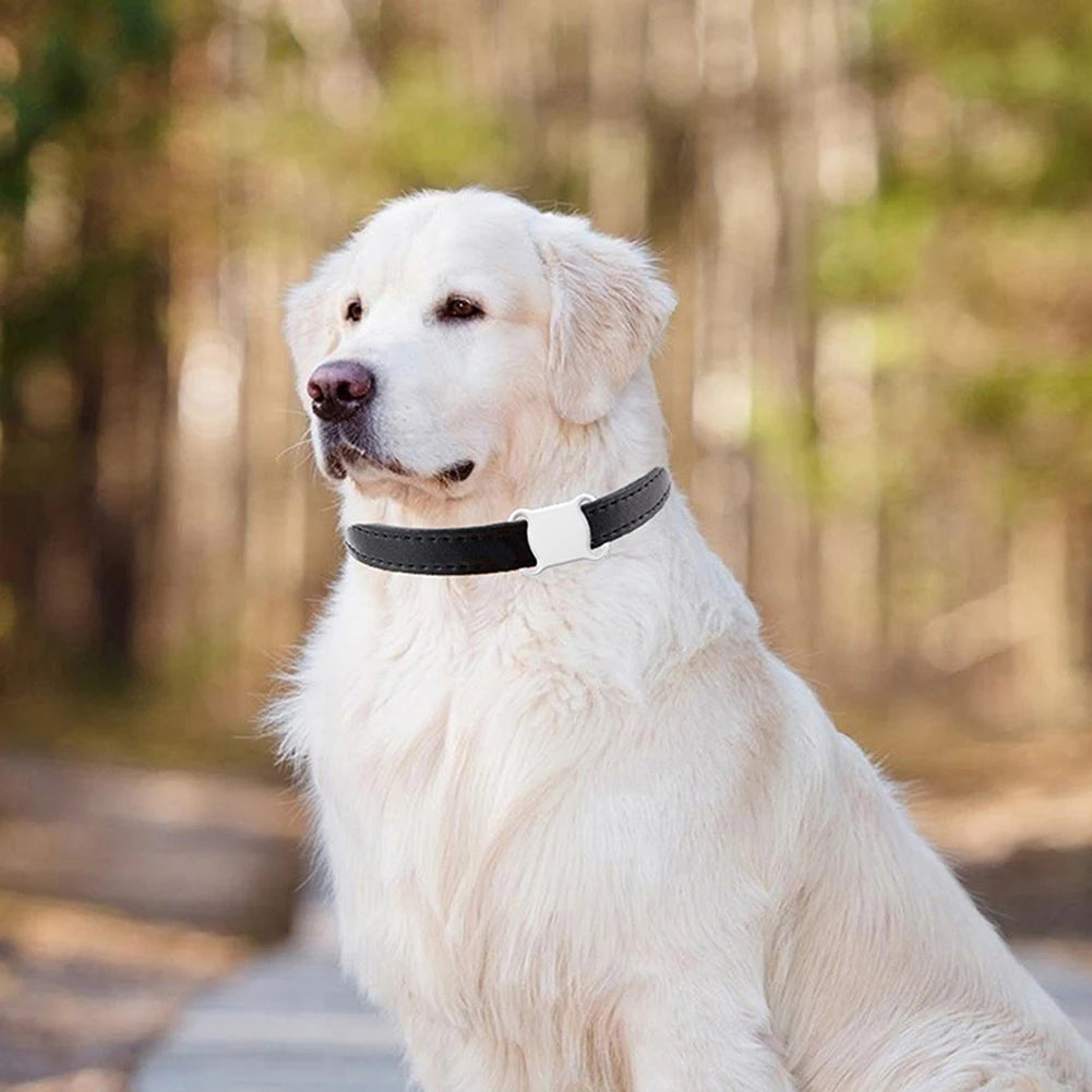 GPS Smart Pet Locator Waterproof Mini GPS Tracker