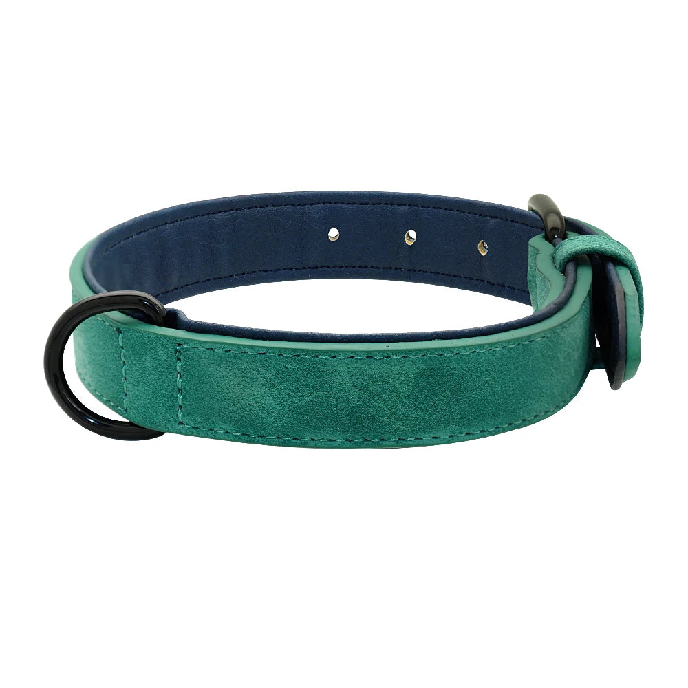 Soft Padded Leather Dog Collar