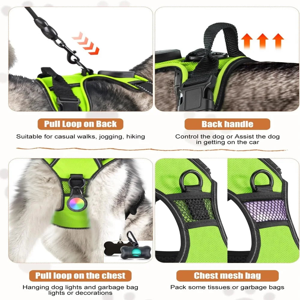 Rechargable LED Dog Harness