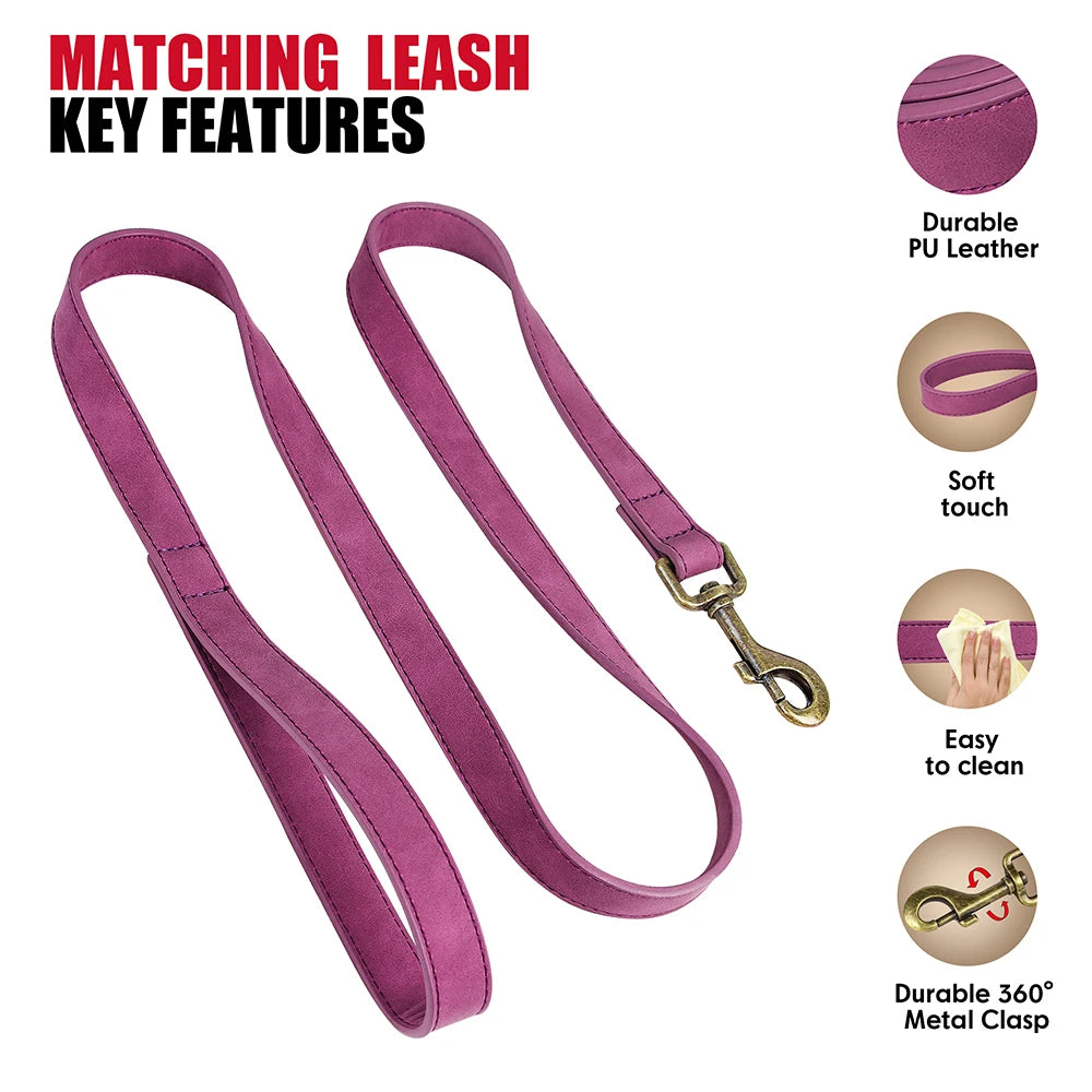 Adjustable PU Leather Dog Collar & Leash Set