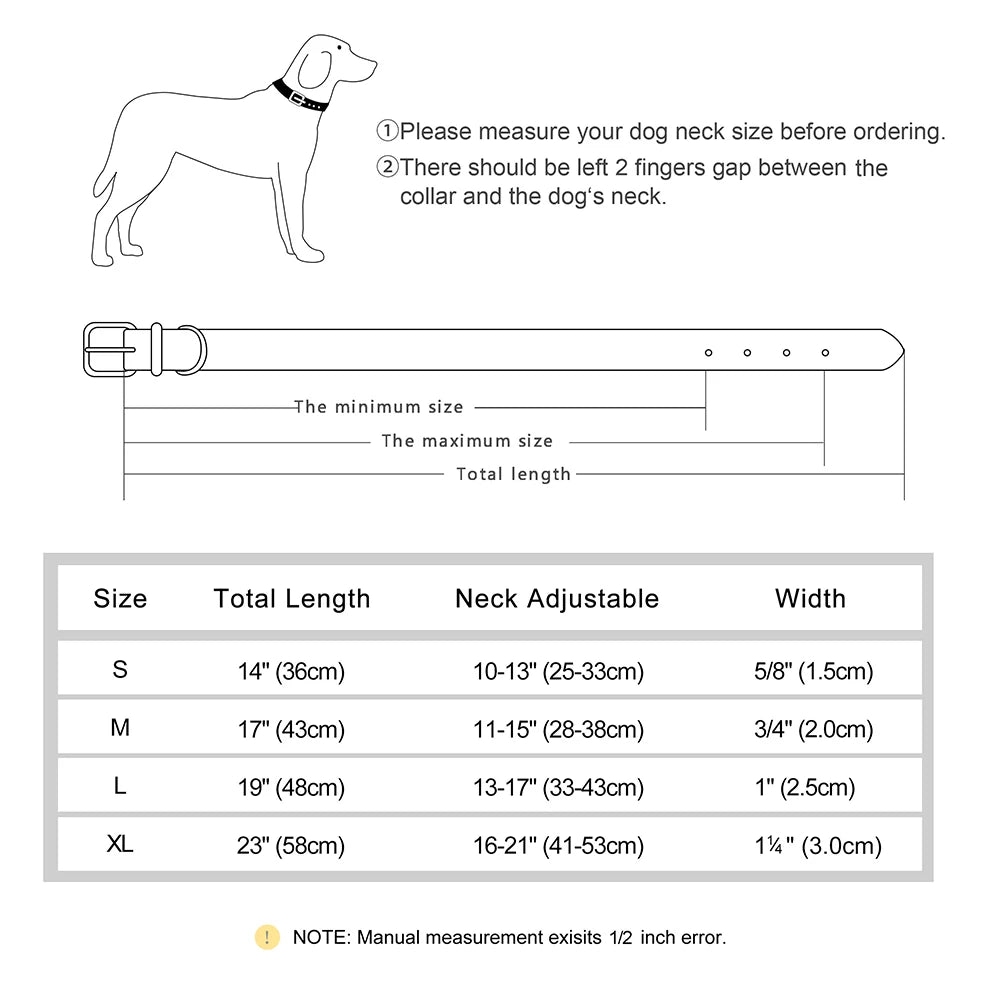 Soft Padded Leather Dog Collar