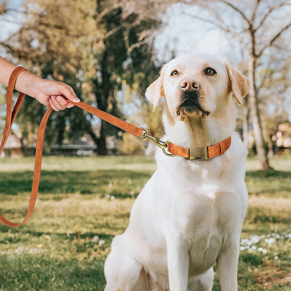 Adjustable PU Leather Dog Collar & Leash Set