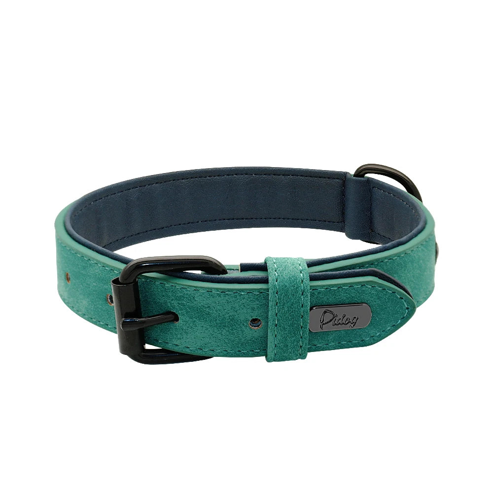 Soft Padded Leather Dog Collar