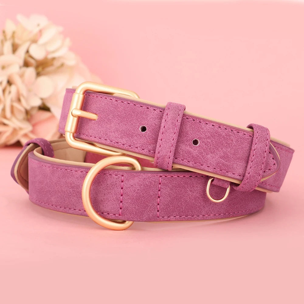 Soft Padded Leather Dog Collar