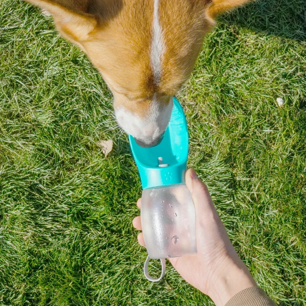 Portable Pet Water Bottle
