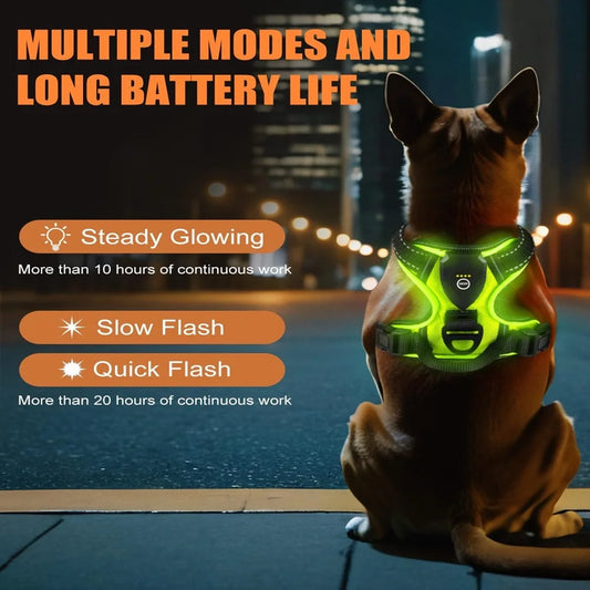 Rechargable LED Dog Harness