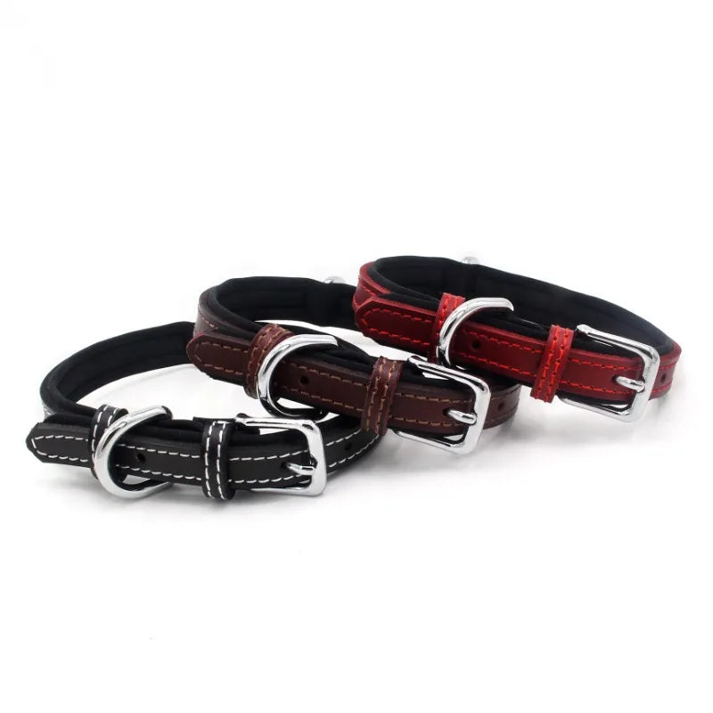 Leather Lettering Pet Collar