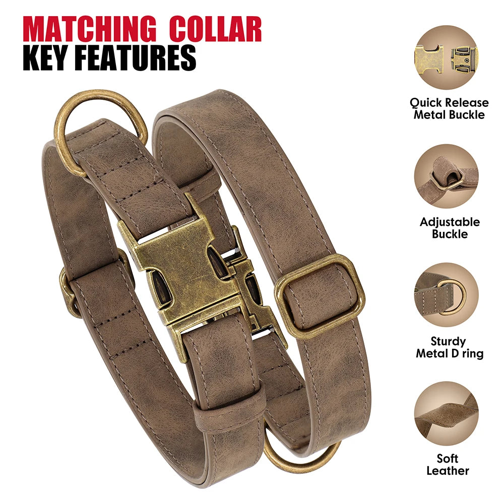 Adjustable PU Leather Dog Collar & Leash Set