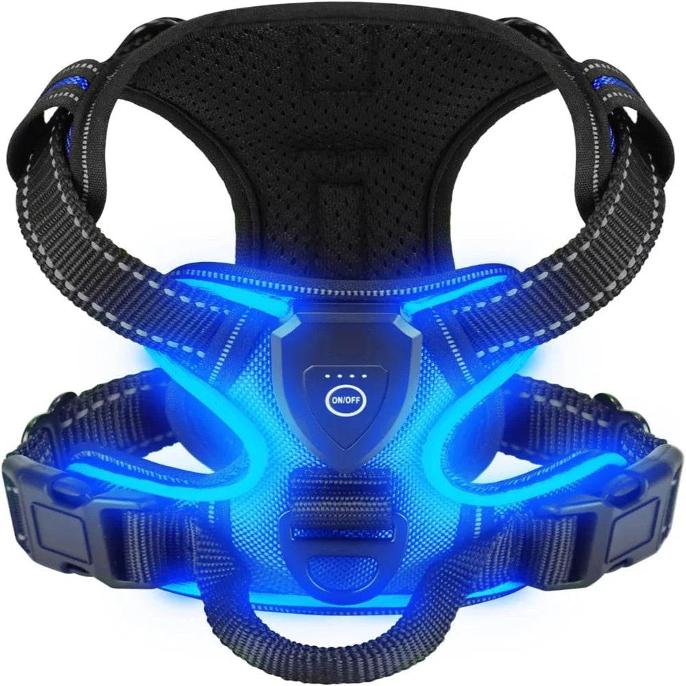 Rechargable LED Dog Harness