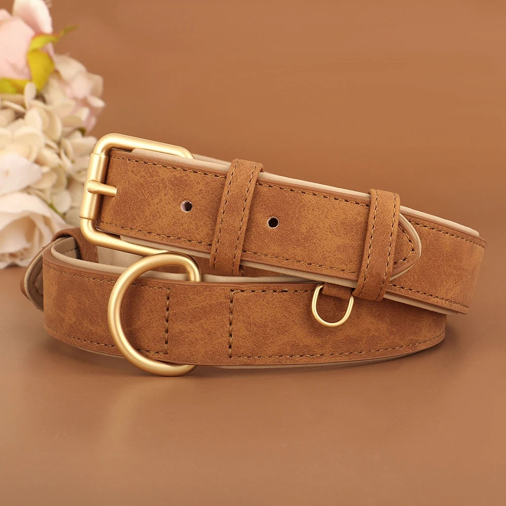 Soft Padded Leather Dog Collar