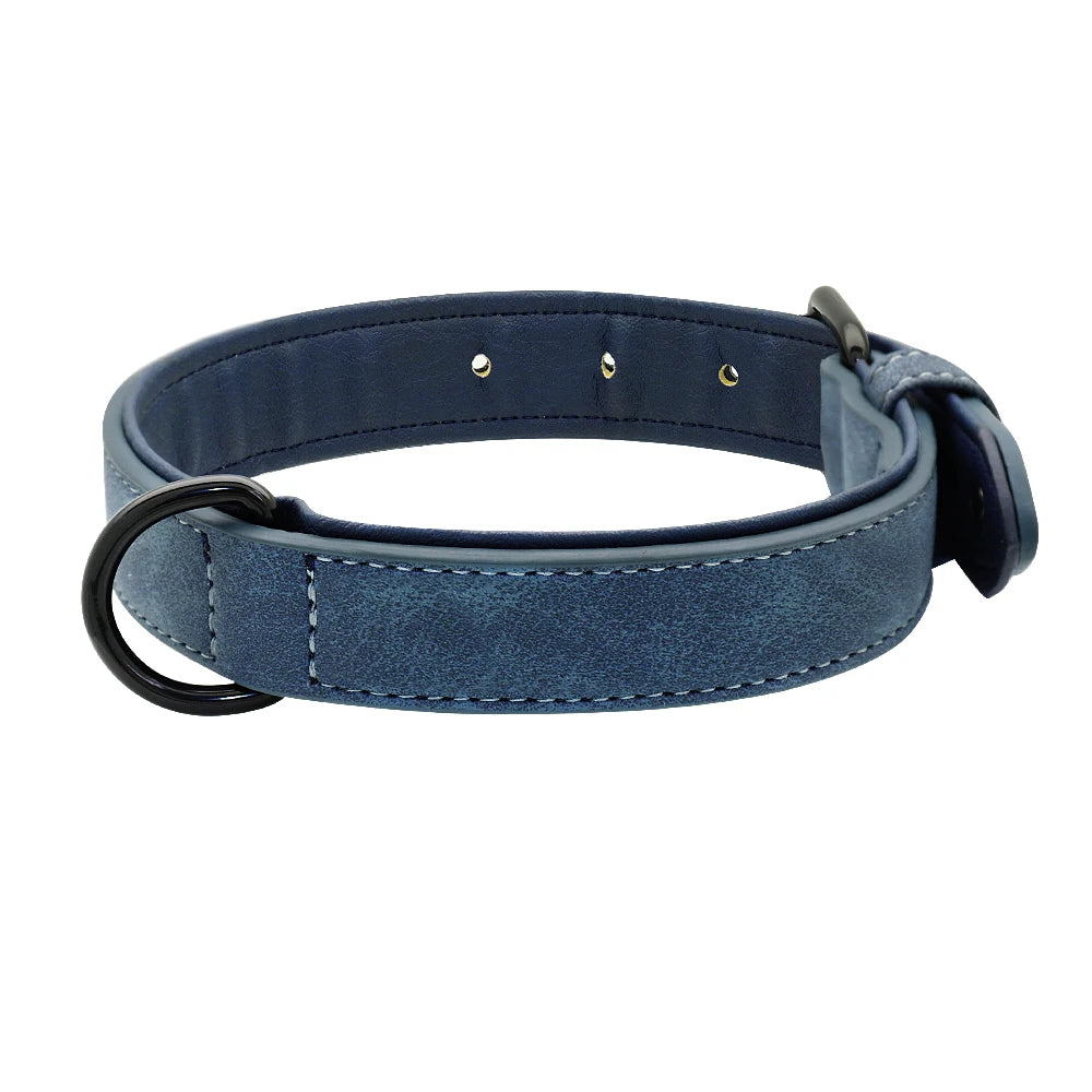 Soft Padded Leather Dog Collar