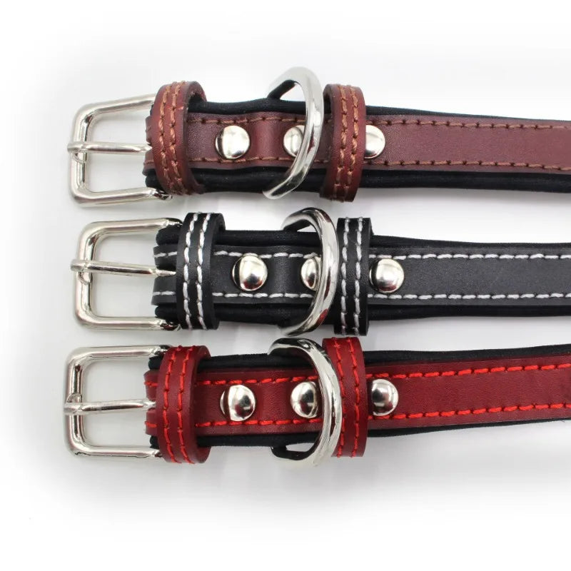 Leather Lettering Pet Collar