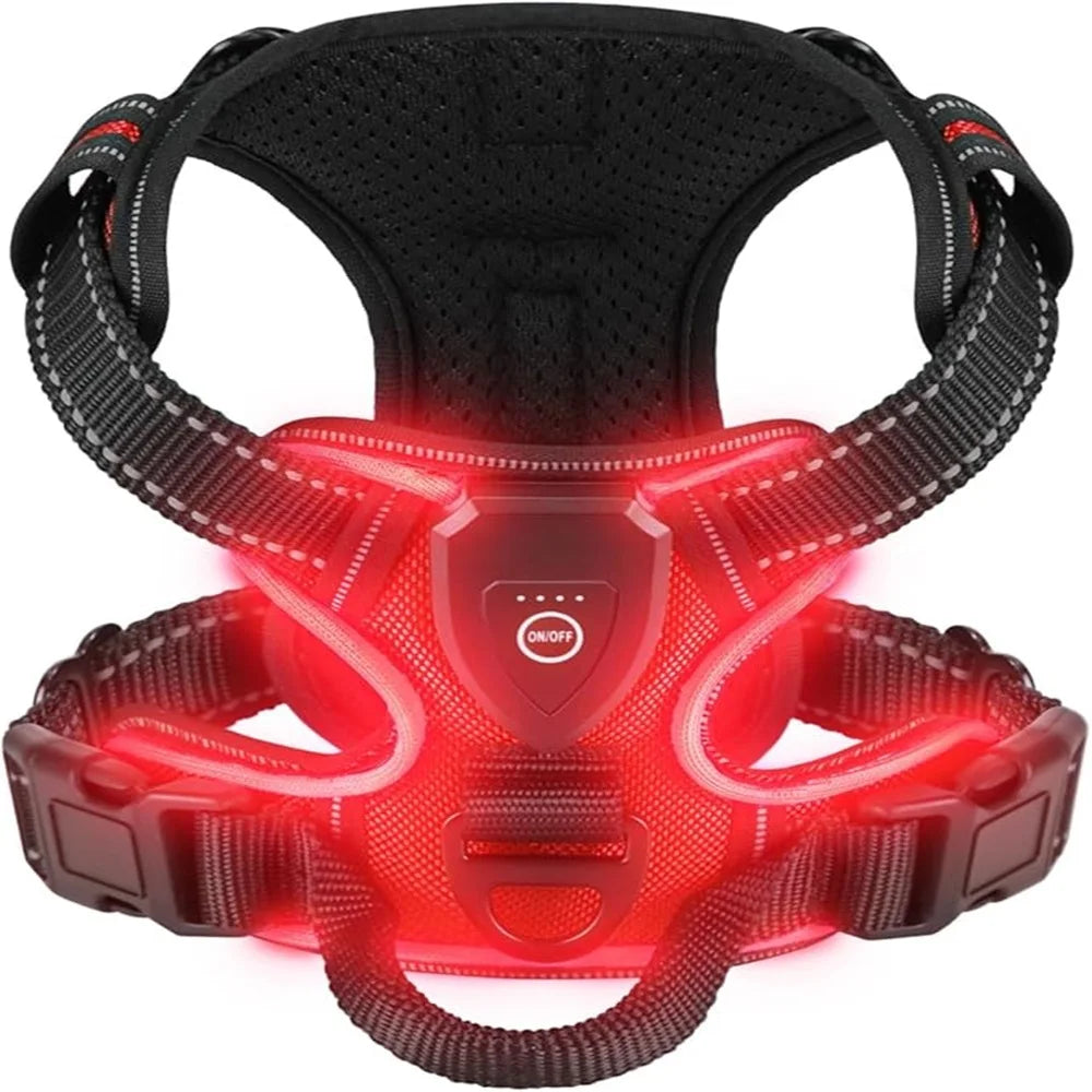 Rechargable LED Dog Harness