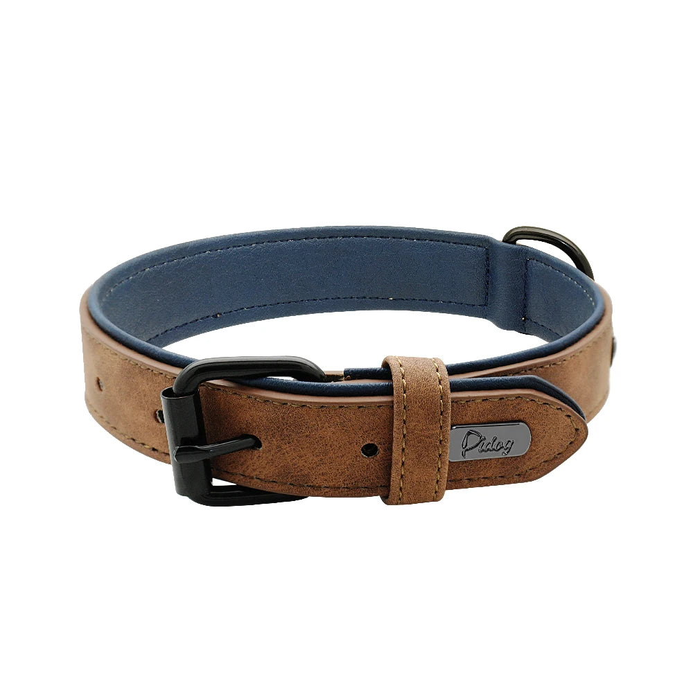 Soft Padded Leather Dog Collar