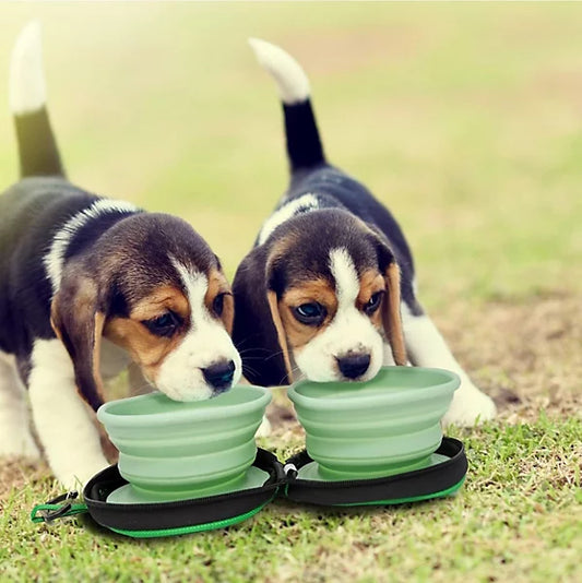 Collapsible Silicon Food/Water Bowl